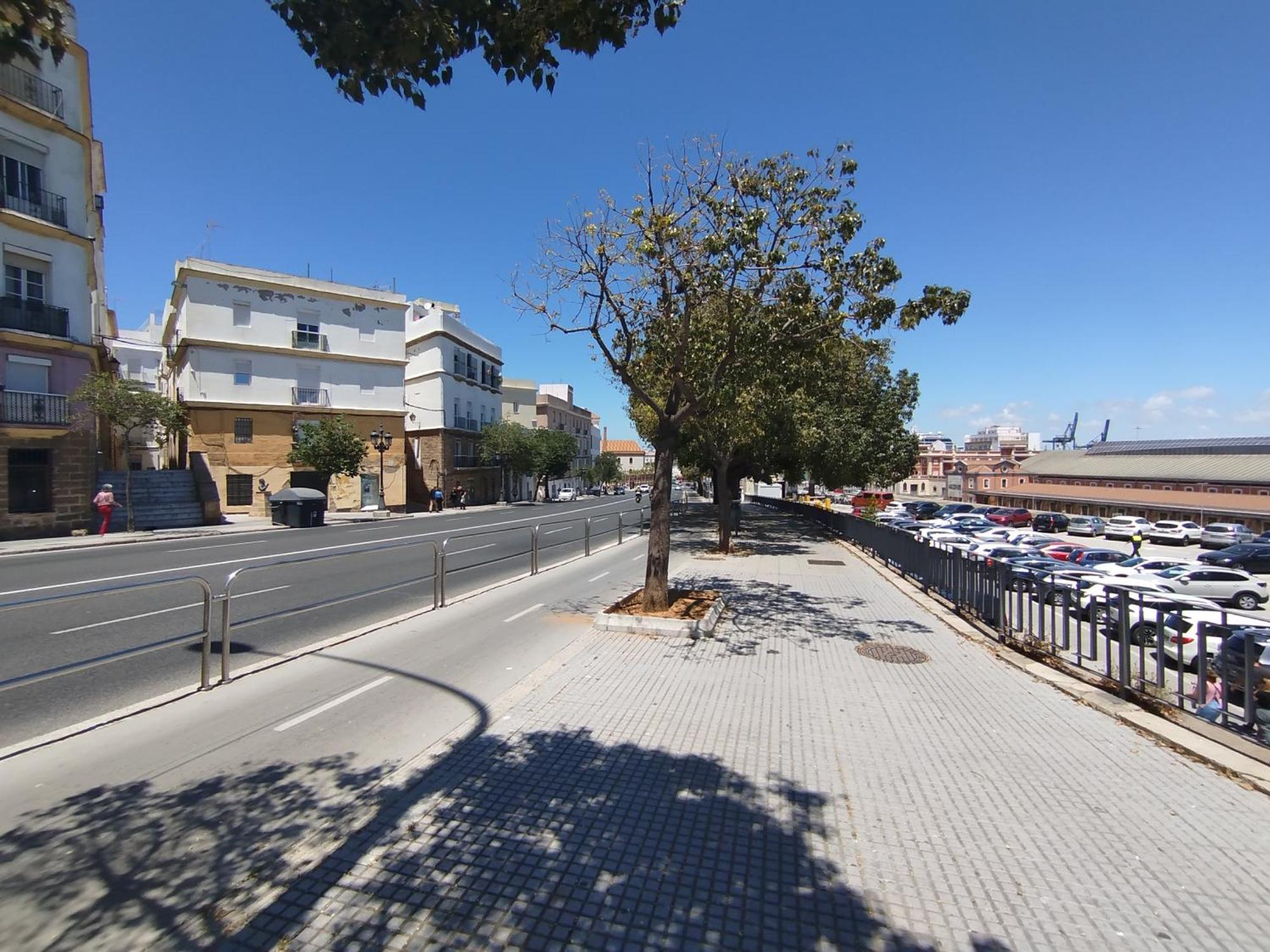 Cadiz Centro Goleta Loft By C.Dreams Apartment Exterior photo